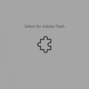 Ejemplo de letrero cuando el sitio tiene un objeto en Flash